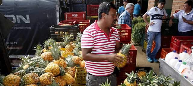 Con el paro, comer piña, papa y cebolla es un lujo | Comercializadores de la Central Mayorista han tenido que racionar los despachos para sus clientes, en vista del descenso de la oferta por el paro de transportadores y productores. FOTO JULIO CÉSA HERRERA
