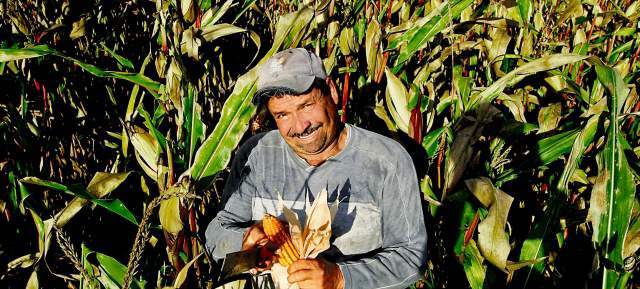 Estudio identificó los problemas que frenan el desarrollo del campo |