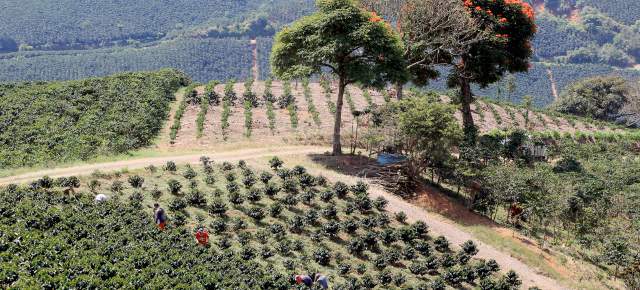 Inflación de Colombia se registró en 2,57 por ciento en junio | FOTO ARCHIVO