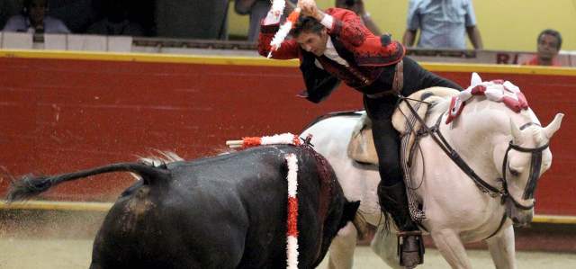Las corridas seguirán con la muerte del toro: Cormacarena | Asotauro propone que entre un caballo a picar y no dos, y que el torero tenga solo dos oportunidades de entrar a matar. En la imagen, el rejoneador Pablo Hermoso. FOTO ARCHIVO, JAIME PÉREZ