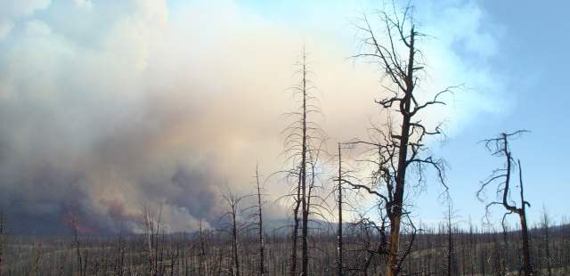 Incendios forestales afectan cuatro estados de Estados Unidos | Reuters |