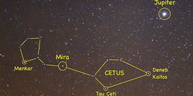 En la imagen, dibujo de la constelación donde se puede ver a Tau Ceti. Cortesía U. Hertfordshire