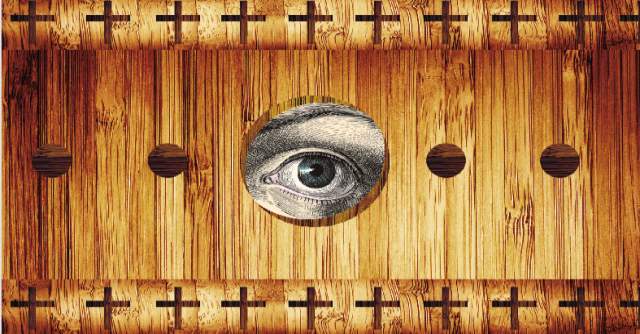 ILUSTRACIÓN MORPHART