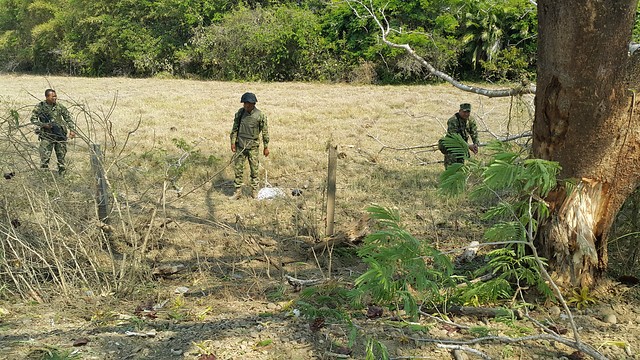 Con información ciudadana el ejercito desmantelo campamento de Grupos residuales. FOTO: Colprensa. 