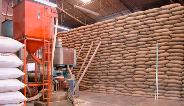Las directivas de Fedearroz, gremio que agrupa a los productores del grano han dicho que el incremento en el cereal se debe a que hay especuladores. FOTO ARCHIVO. 