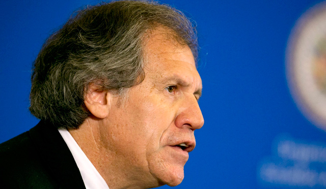 El secretario general de la Organización de Estados Americanos, OEA, Luis Leonardo Almagro Lemes. FOTO Archivo Colprensa 