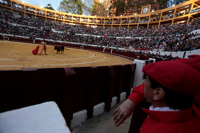 Este lunes inició el debate sobre el futuro de las corridas de toros. FOTO COLPRENSA