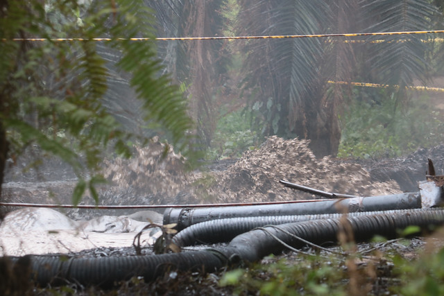 Aspecto de la emergencia ambiental por afloramiento de petróleo en Santander. FOTO COLPRENSA
