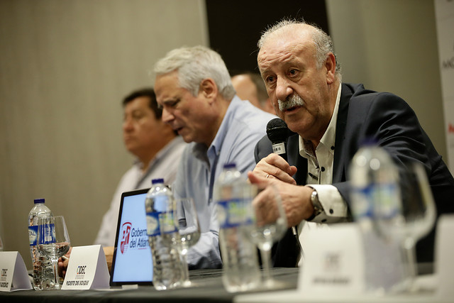 Vicente del Bosque, campeón del mundo con España. COLPRENSA