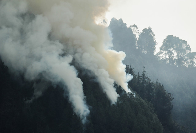 El incendio ha consumido más de dos hectáreas de bosque. FOTO Colprensa