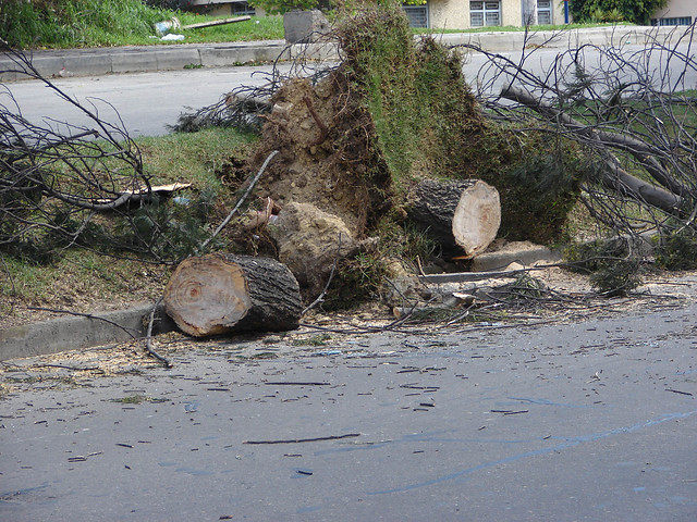 Talas. FOTO DE ARCHIVO COLPRENSA