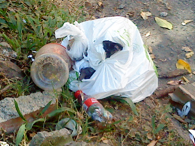 Basura por doquier en los parques de Belén 