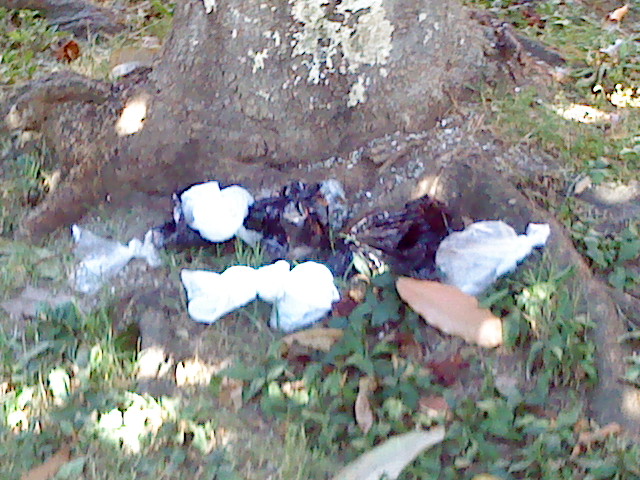 Basura por doquier en los parques de Belén 