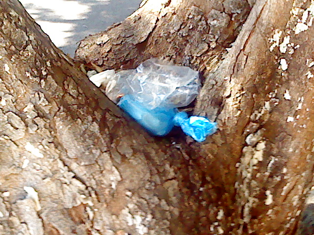 Basura por doquier en los parques de Belén 