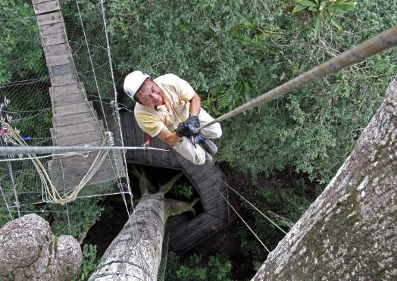 Hernán Vanegas - Después de muchos años sin vacaciones, Mauricio Sánchez viajó con su esposa a celebrar sus Bodas de Plata en medio de la selva. El se le midió a subir la ceiba del dosel a punta de cuerdas hasta llegar a la cima, a unos 40 metros de altura, antes de cruzar el puente tibetano.
