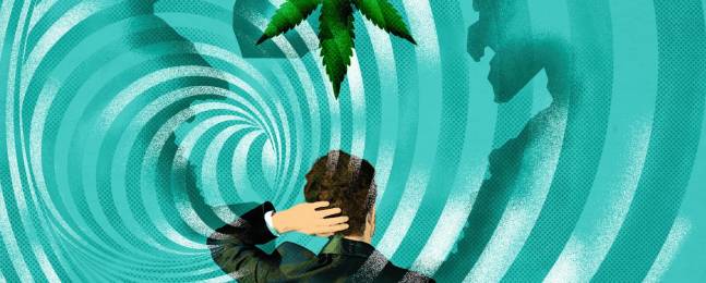 Antioquia y el cannabis medicinal