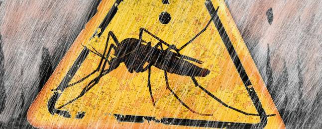 Hay que contener el zika