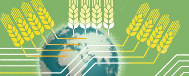 Pronósticos de la FAO-OCDE