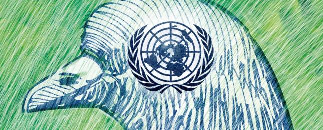 Muy concentrados, ONU dijo sí