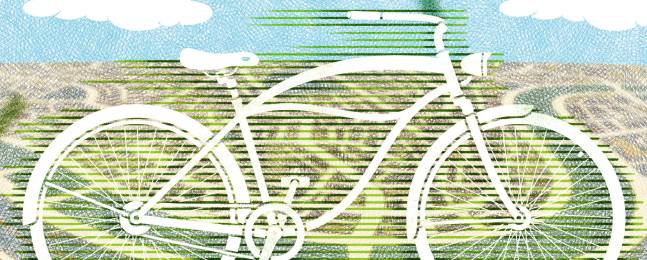 Compartir carro y viajar en bici