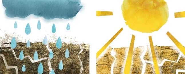A enfrentar el nuevo clima