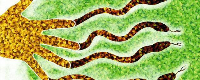 Al rescate de los ecosistemas