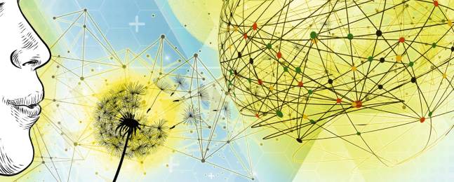 Modernización del sector TIC