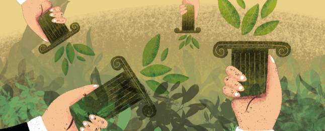 Relevo en Medio Ambiente