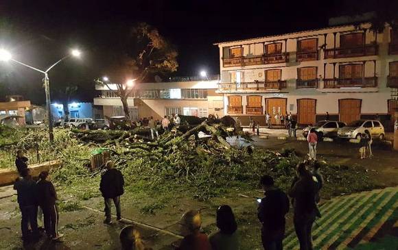 FOTO ALCALDÍA DE TÁMESIS