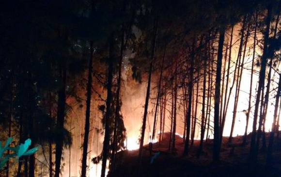 FOTO CORTESÍA BOMBEROS BOGOTÁ. 