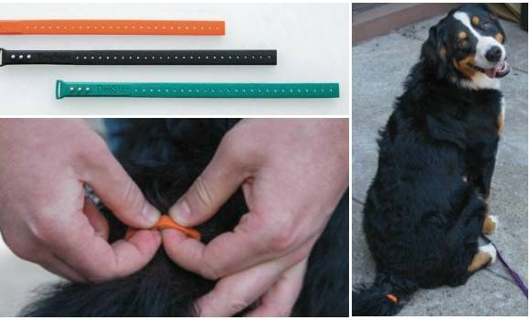La TailTalk es una innovación que saldría al mercado en 2016. FOTO Cortesía www.dogstar.life