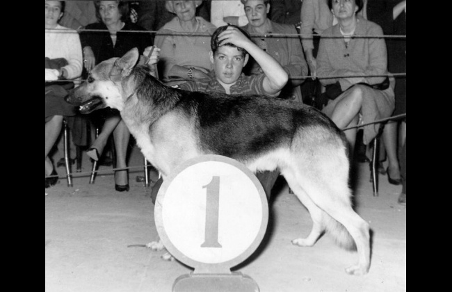 En su juventud, Juan Manuel Santos entrenaba perros en la Escuela de Carabineros. 