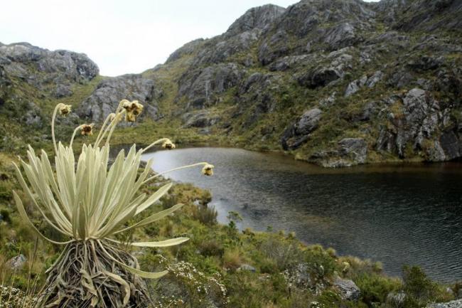 PÁRAMO DE SANTURBÁN. FOTO COLPRENSA