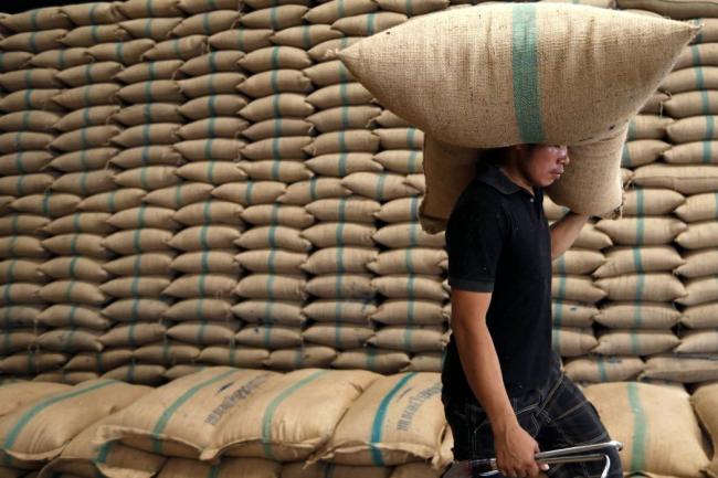 La apuesta para este año, según el Ministerio de Agricultura, es sembrar 478.000 hectáreas de arroz. Precio y clima son los retos más importantes para los productores. FOTO colprensa