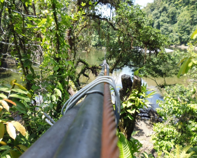 Las mangueras de succión conectadas a las válvulas ilegales se internan hasta 2 km en la selva, para llegar a las refinerías. FOTO: Cortesía.