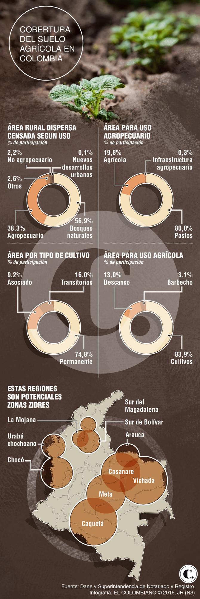 InfogrÃ¡fico