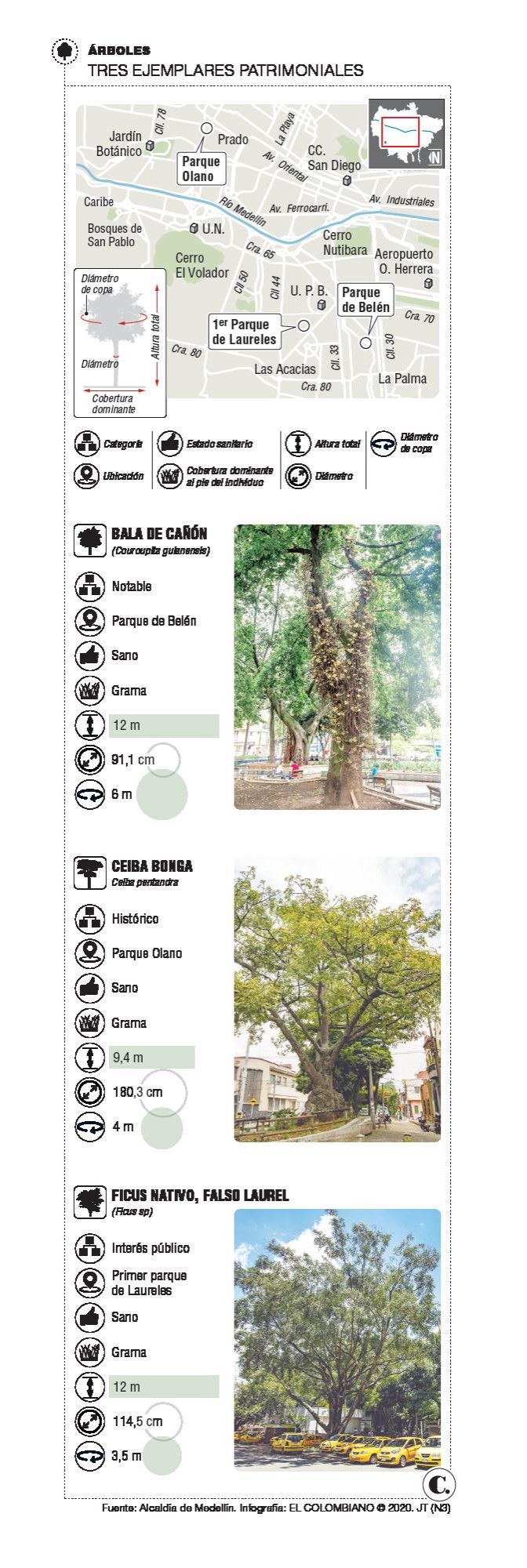 Qué dirían los árboles de Medellín si hablaran