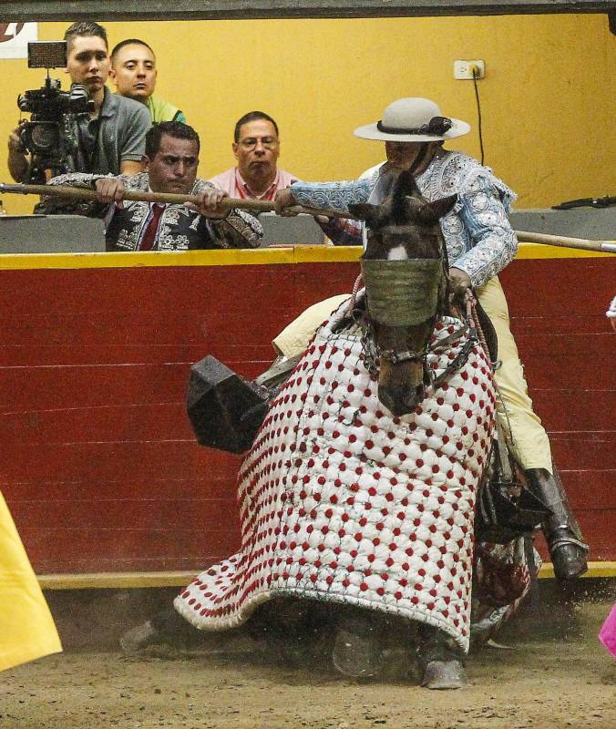 De a poco el caballo se fue desplomando por la gravedad de las heridas. FOTO JAIME PÉREZ