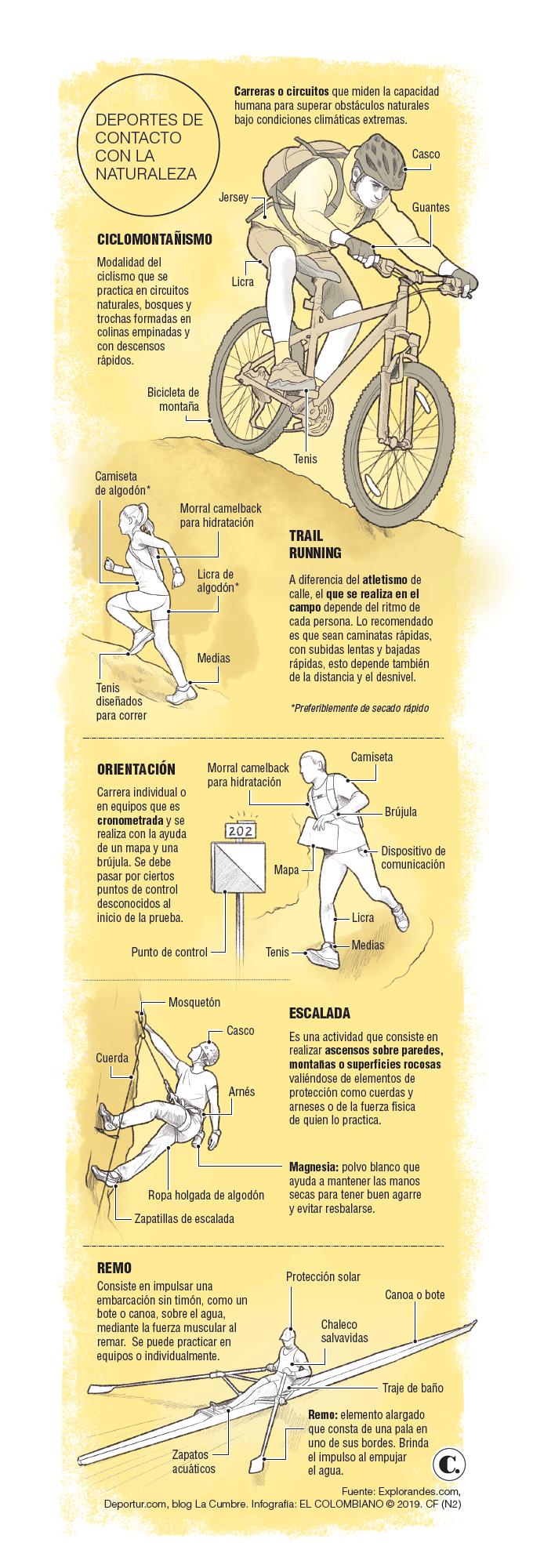 InfogrÃ¡fico