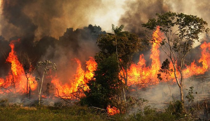 La imagen de un bosque en llamas tampoco corresponde a los incendios de la Amazonia. De hecho fue tomada por el fotógrafo John McColgan el 6 de agosto de 2000 durante un incendio en Montana, Estados Unidos. Ocurrió en la zona del río Bitterroot y a McColgan le llamaron la atención dos alces que corrían para resguardarse del fuego.
