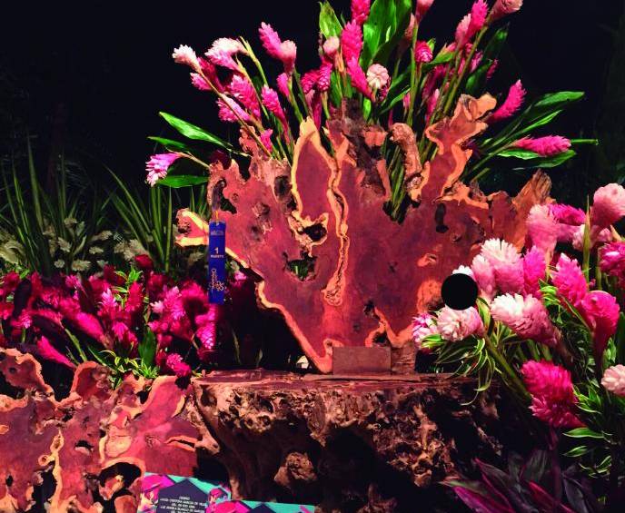 Una cita colorida con la primavera 