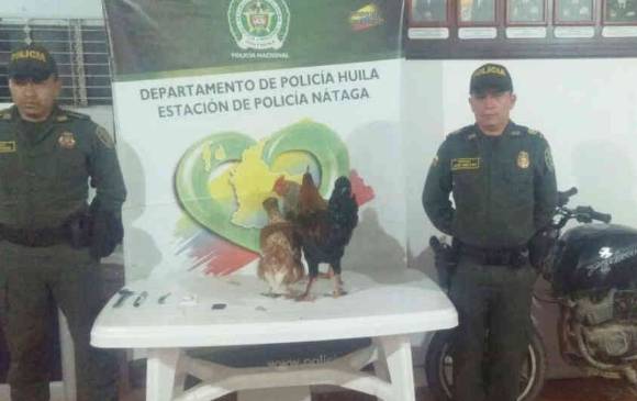 FOTO CORTESÍA