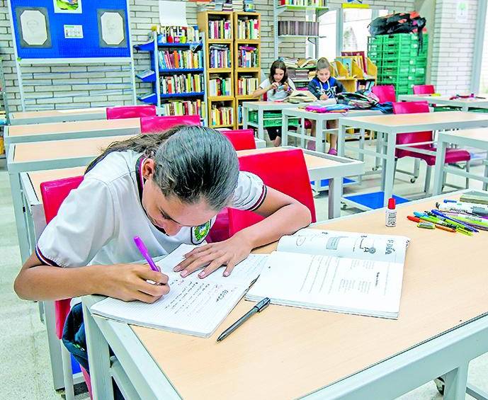 Las mejores noticias que dejó Colombia en 2019