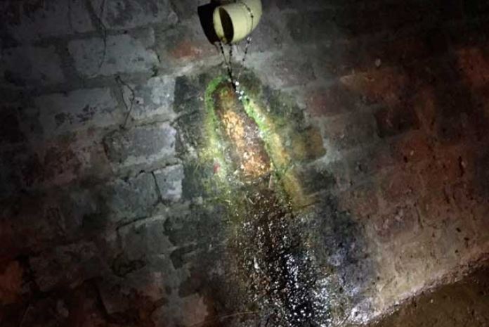 Esta es la foto de la supuesta aparición de la Virgen de Guadalupe que circula en redes sociales. 