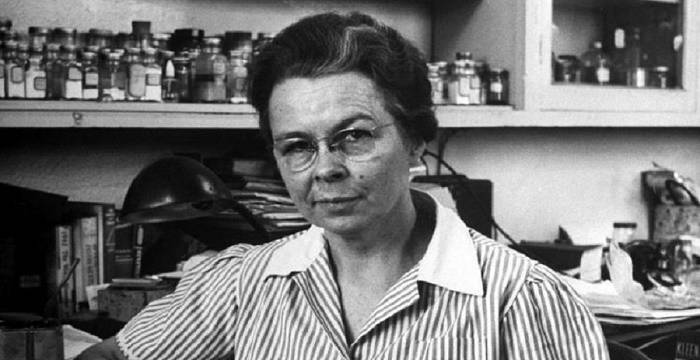 10 inventos de mujeres que impactaron el mundo