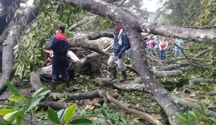 En la vía Sardinata que conduce a Cúcuta ocurrió el accidente. FOTO: Cortesía 