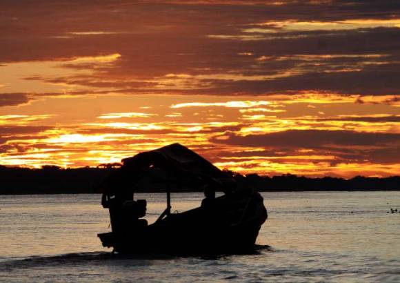 Hernán Vanegas - Partiendo en una canoa por un río afluente del Amazonas, se adentran los aventureros hasta cierto punto donde desembarcan, caminan unos 500 metros por entre la selva y llegan a donde están dos colosos: son dos grandes ceibas o árboles del saber, según los ticuna.