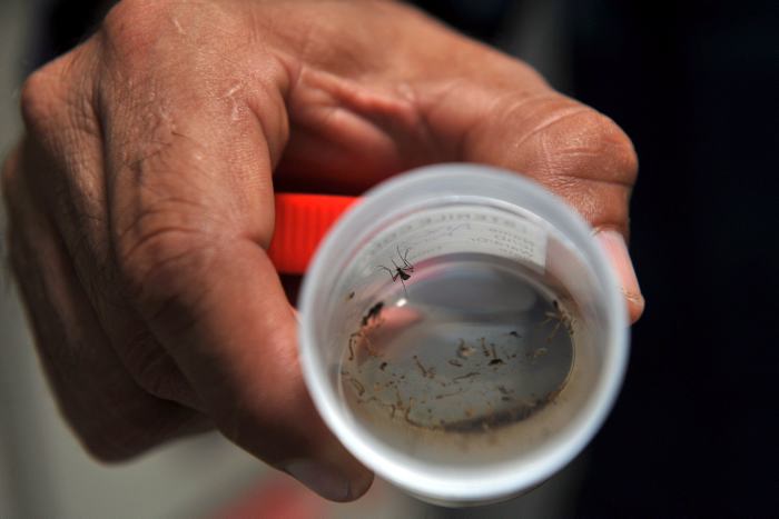 Desde que apareció en octubre, el virus zika ha afectado a más de 50.000 personas en el país . FOTO COlprensa 