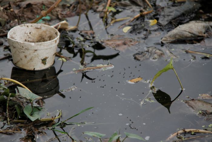 Las autoridades sanitarias insisten a las personas evitar estanques de aguas lluvias en los que se puedan propagar los mosquitos transmisores. FOTO COLPRENSA-ARCHIVO.