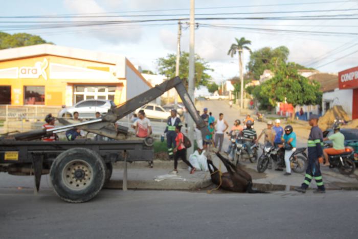 Dos jóvenes que venían en una carreta sostenida por el cuerpo del animal, estaban presionando al caballo para que subiera una calle inclinada. FOTO Colprensa